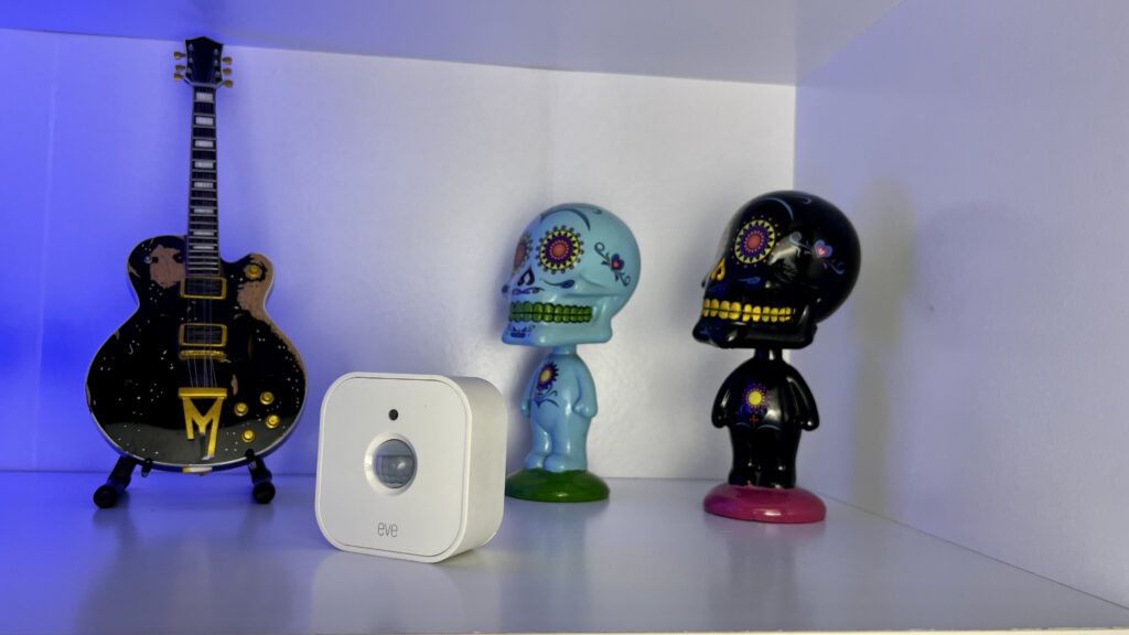 Eve Motion on white shelf with a guitar figurine and Day of the Dead bobbleheads